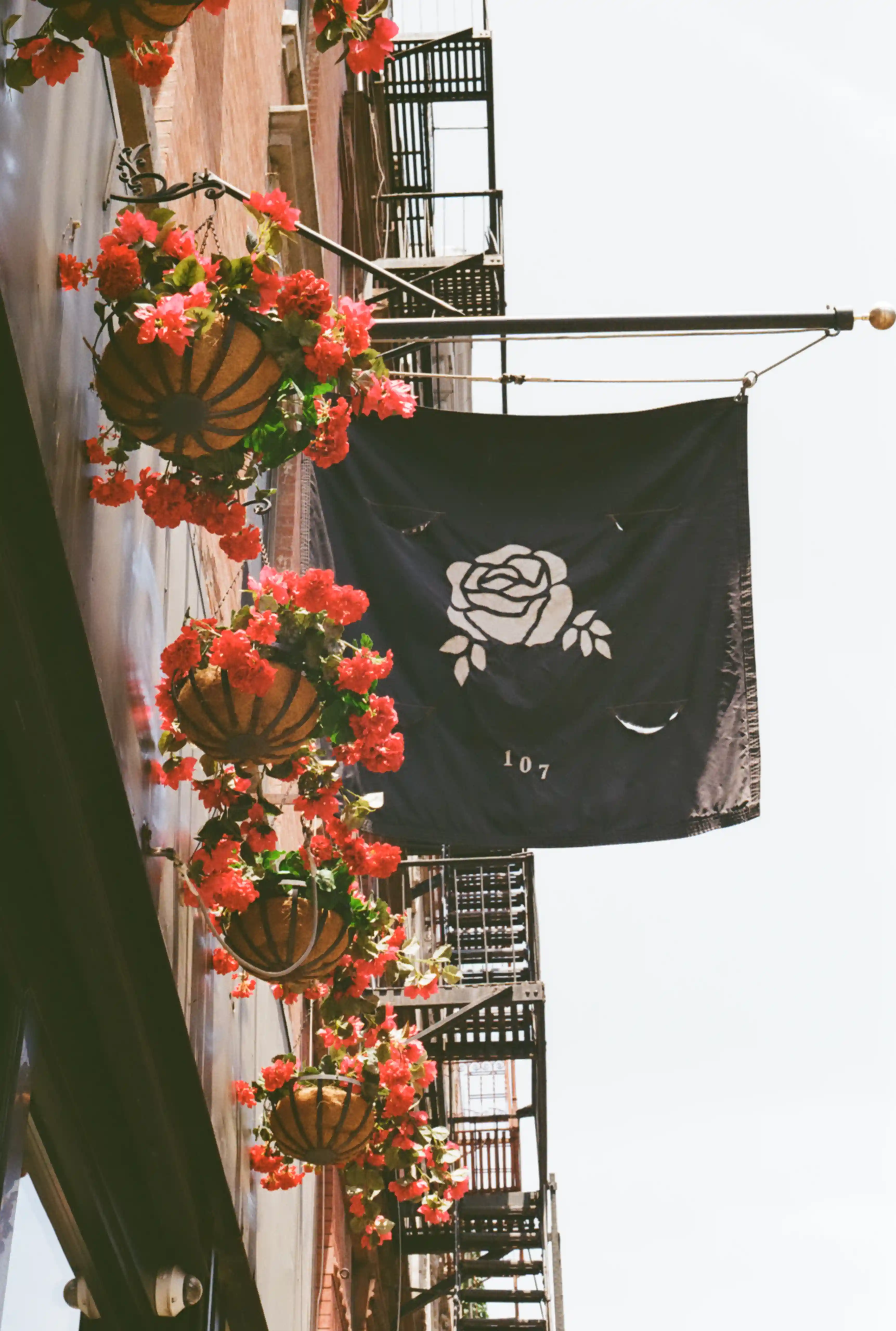 Image from New York album