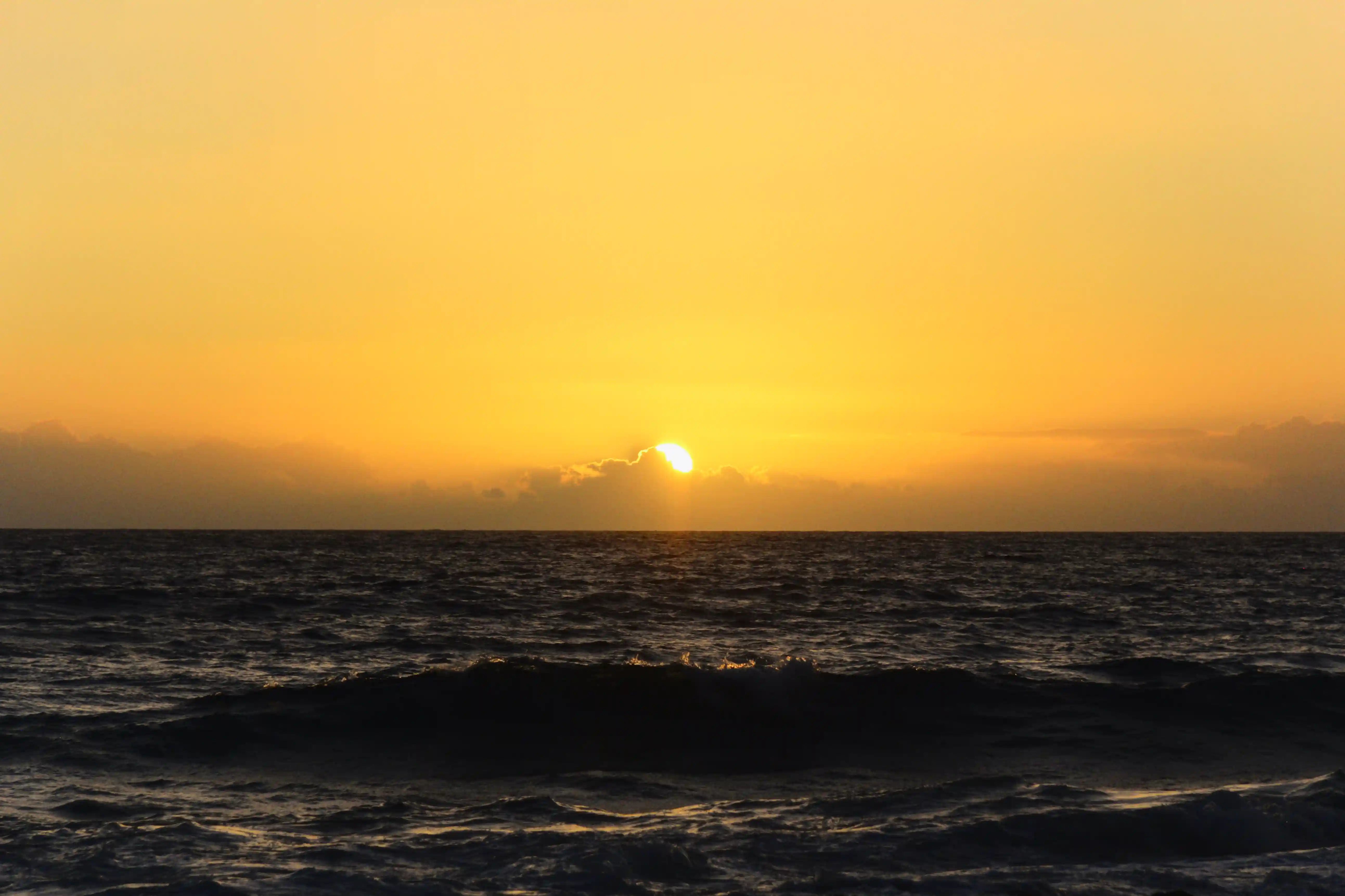 Image from O'ahu & Hawai'i album