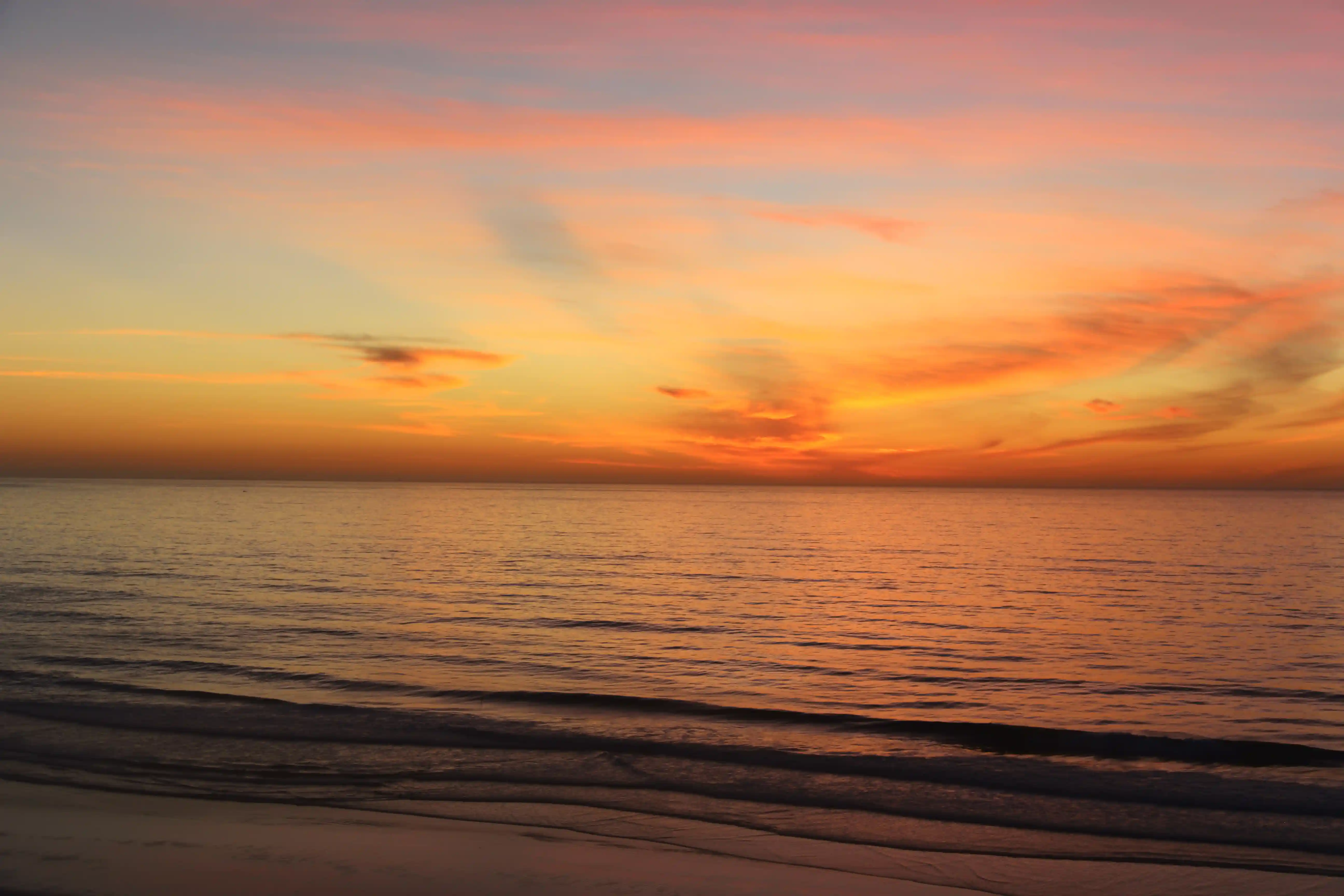 Image from San Diego album