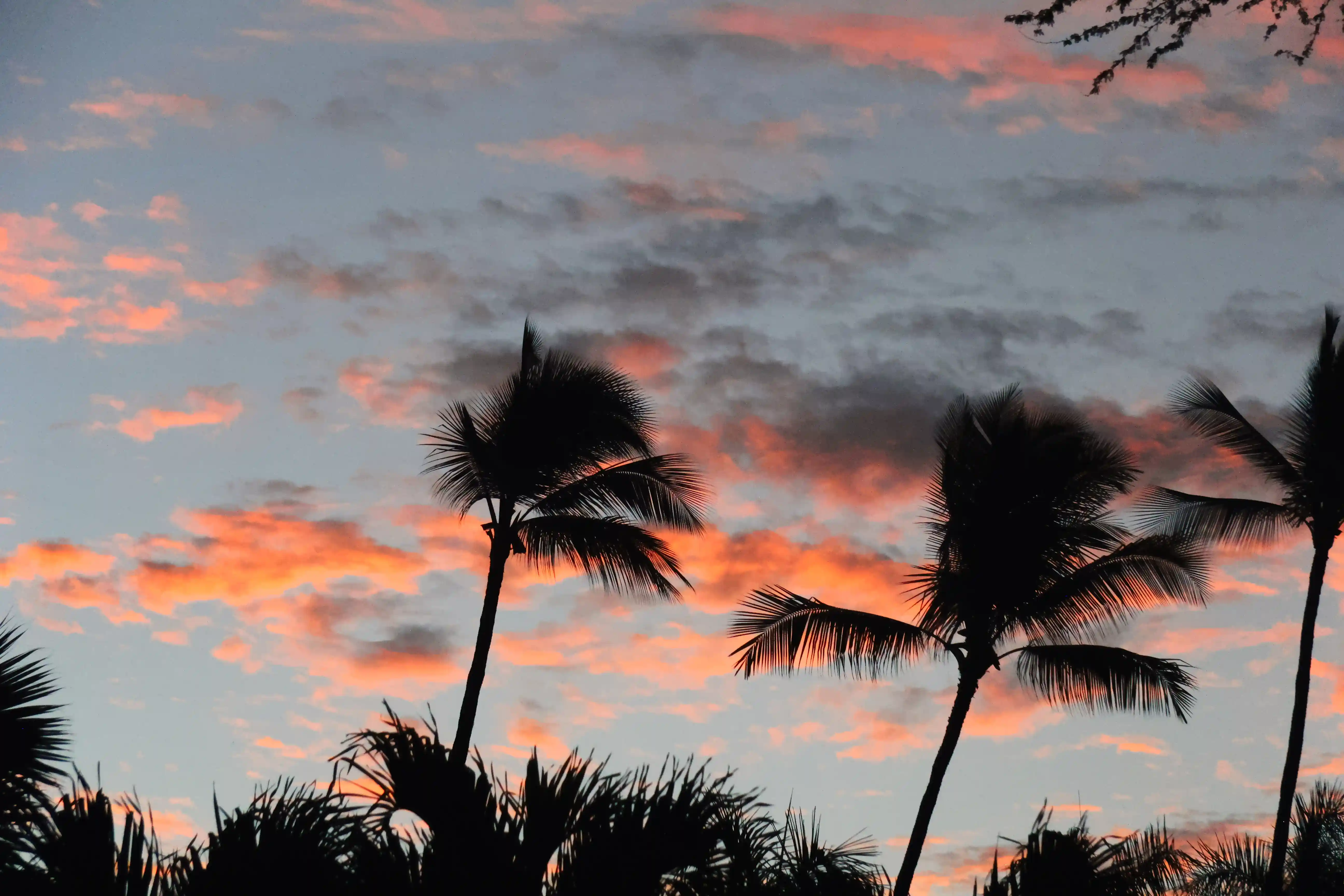Image from O'ahu & Hawai'i album