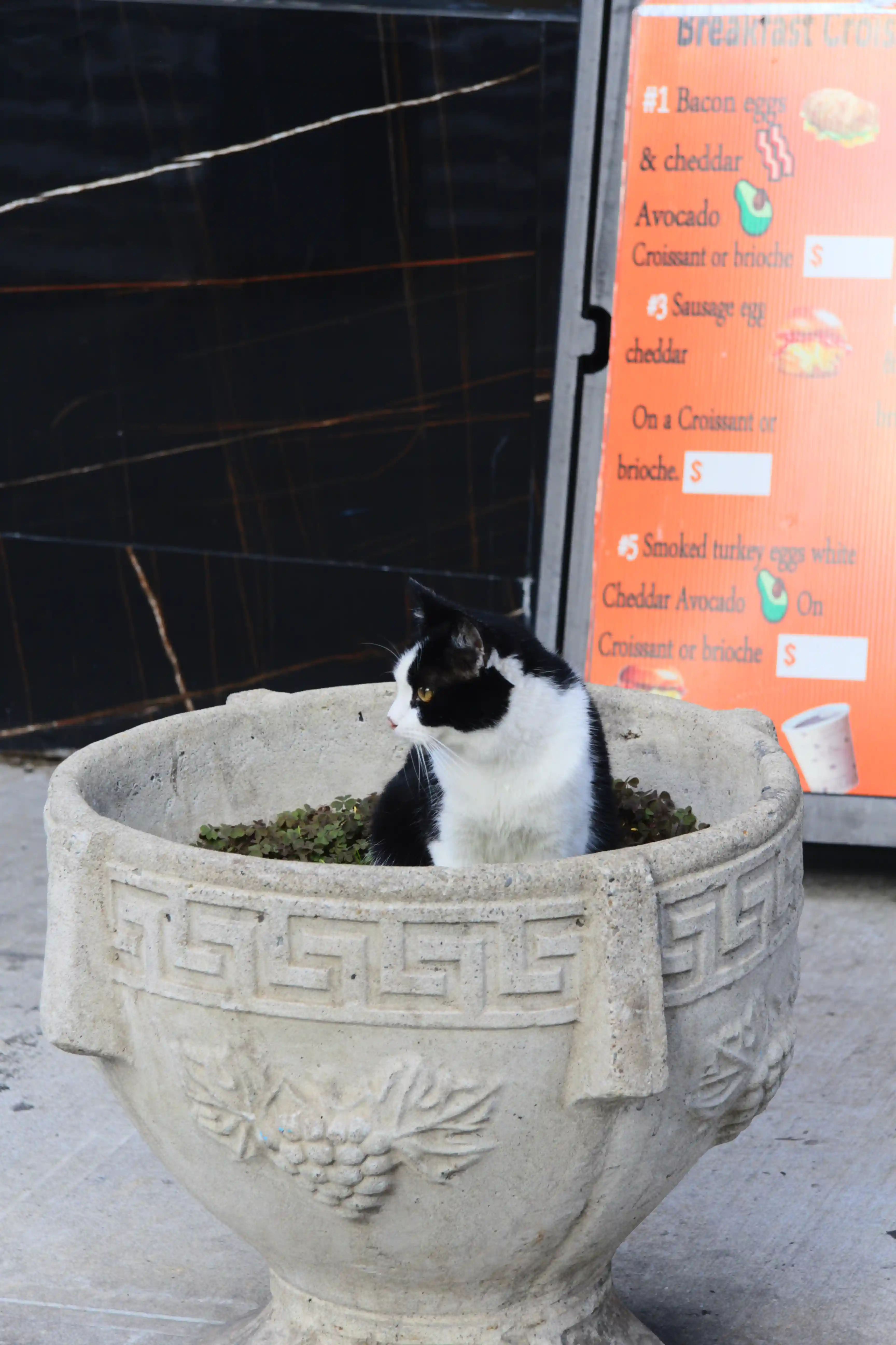 Image from New York album