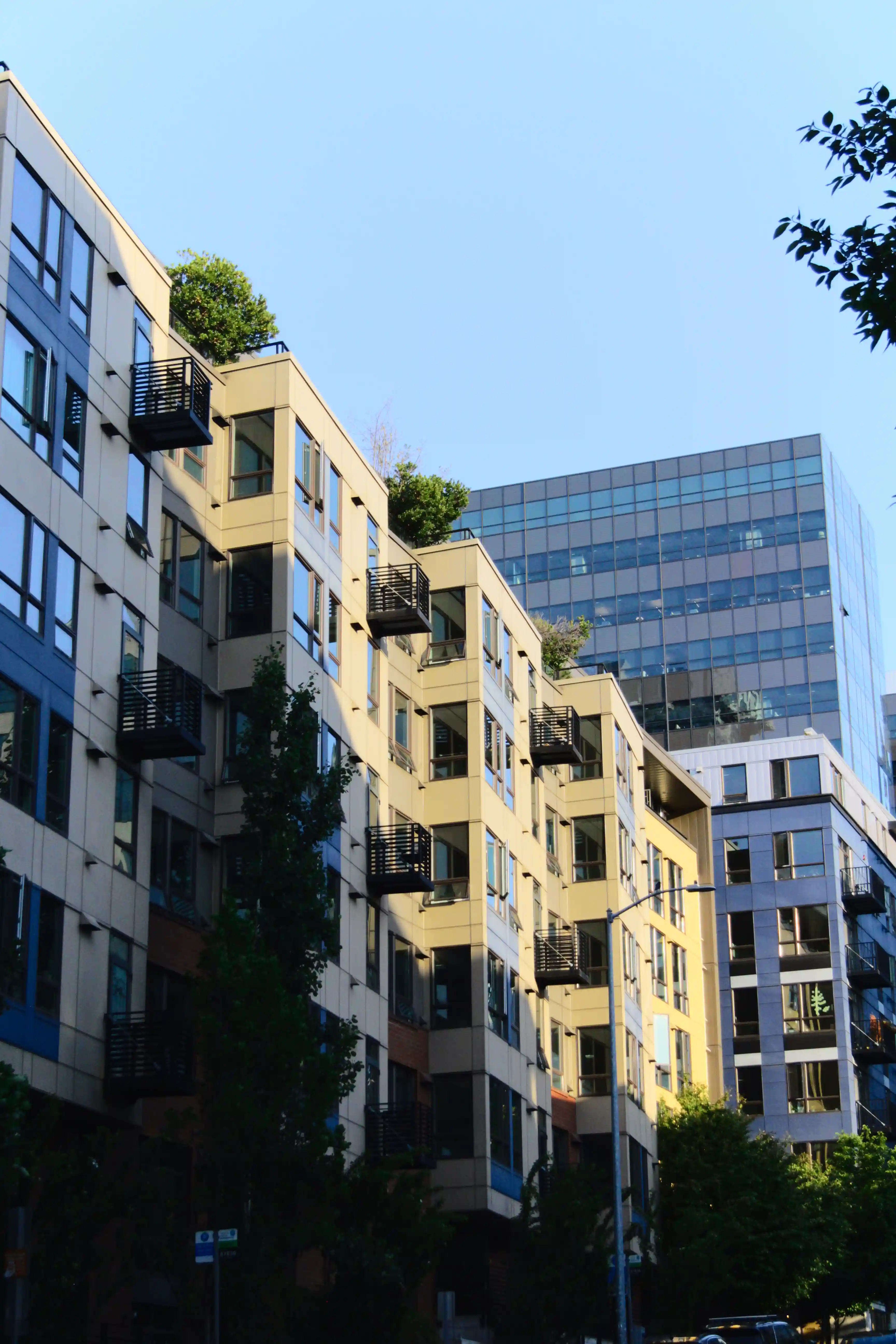 Image from Seattle album