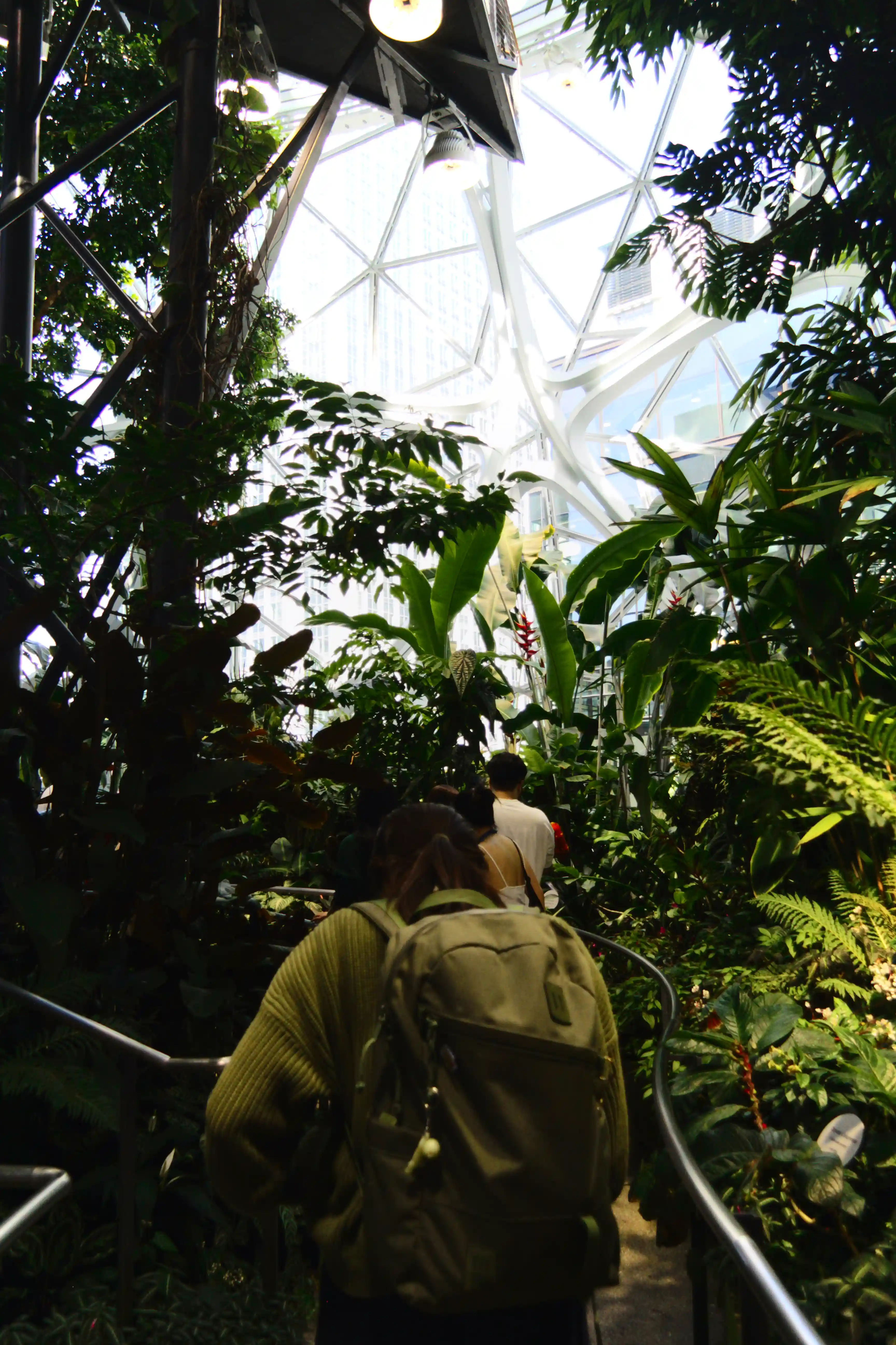 Image from Seattle album