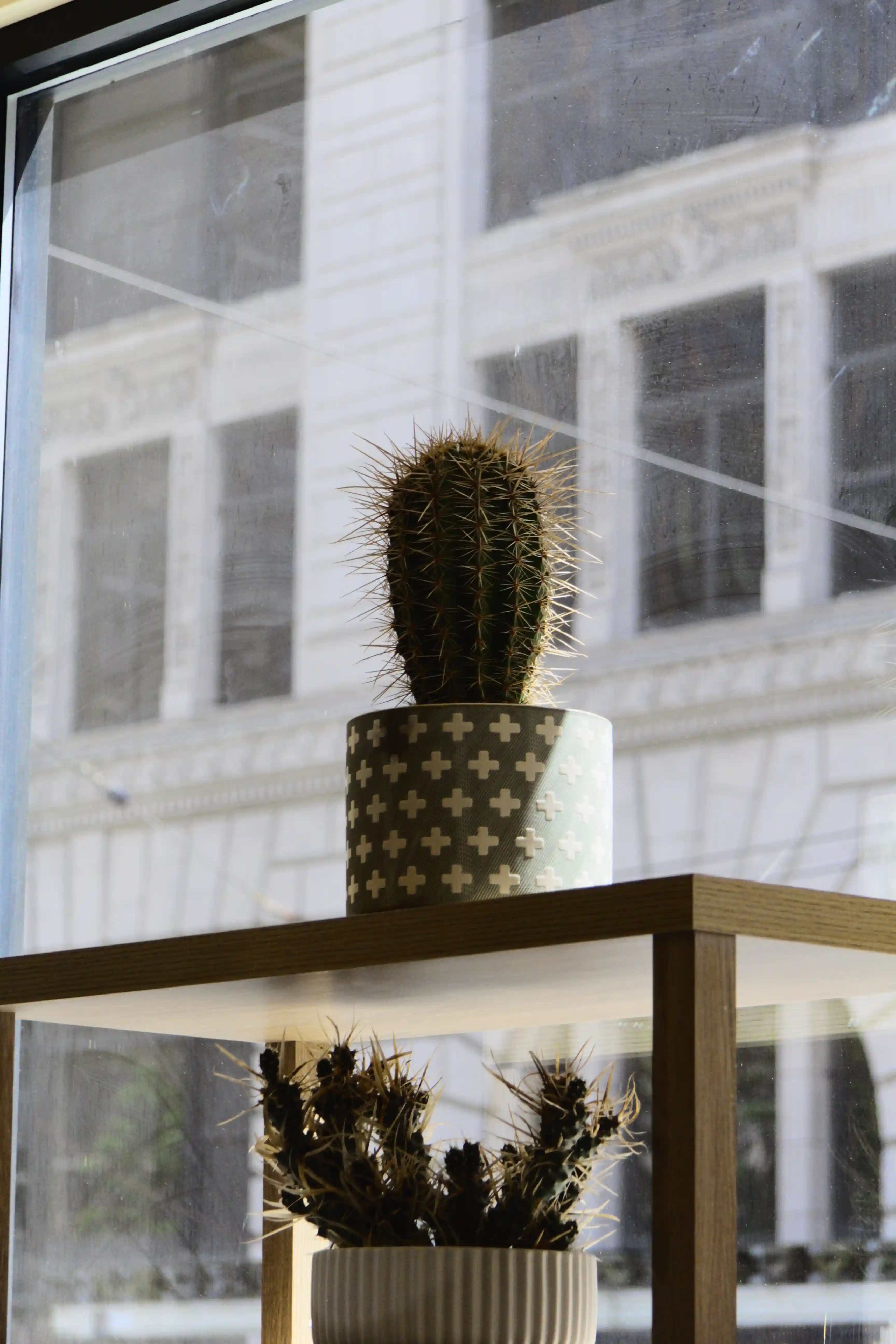 Image from Seattle album