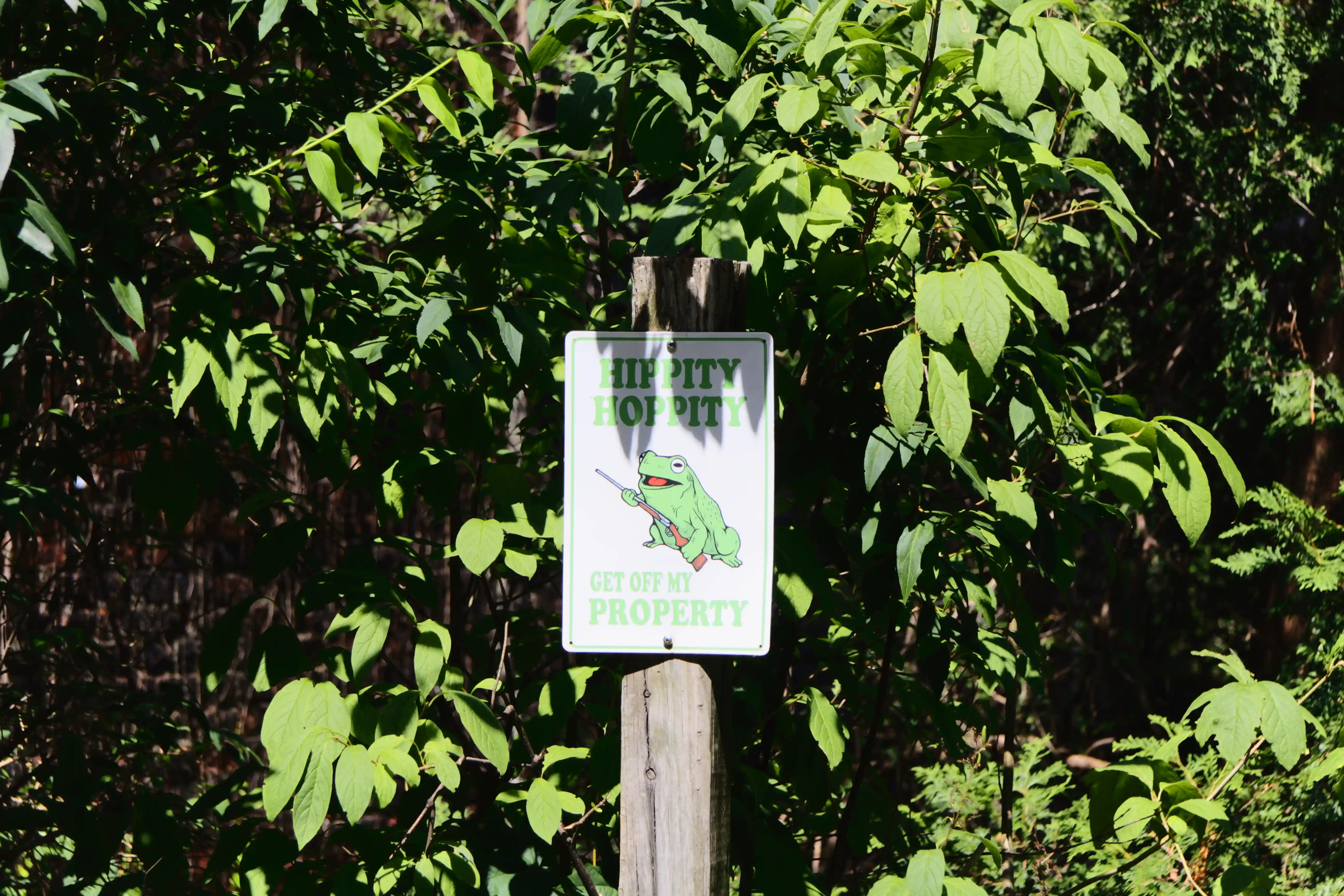 Image from New York album