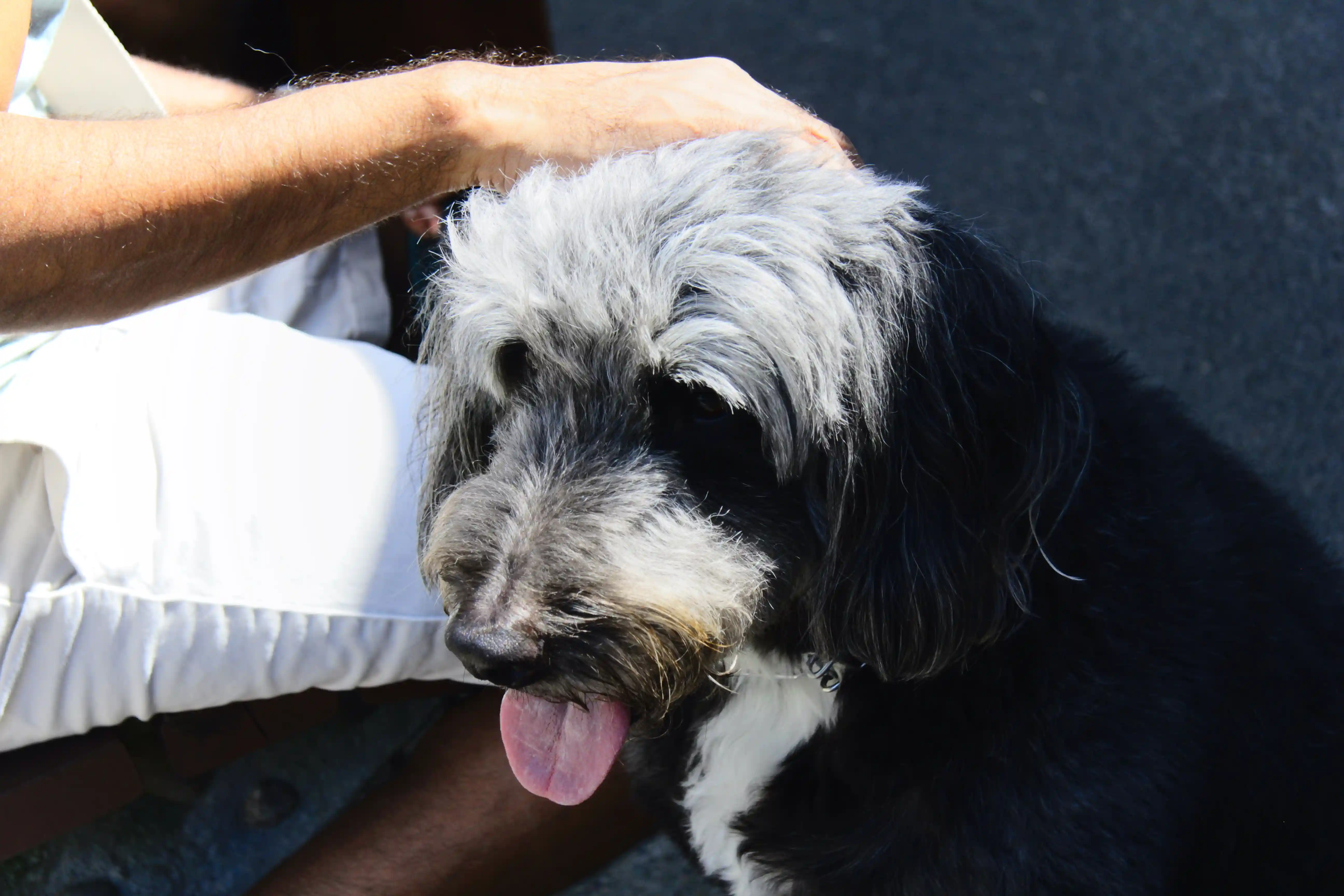 Image from New York album