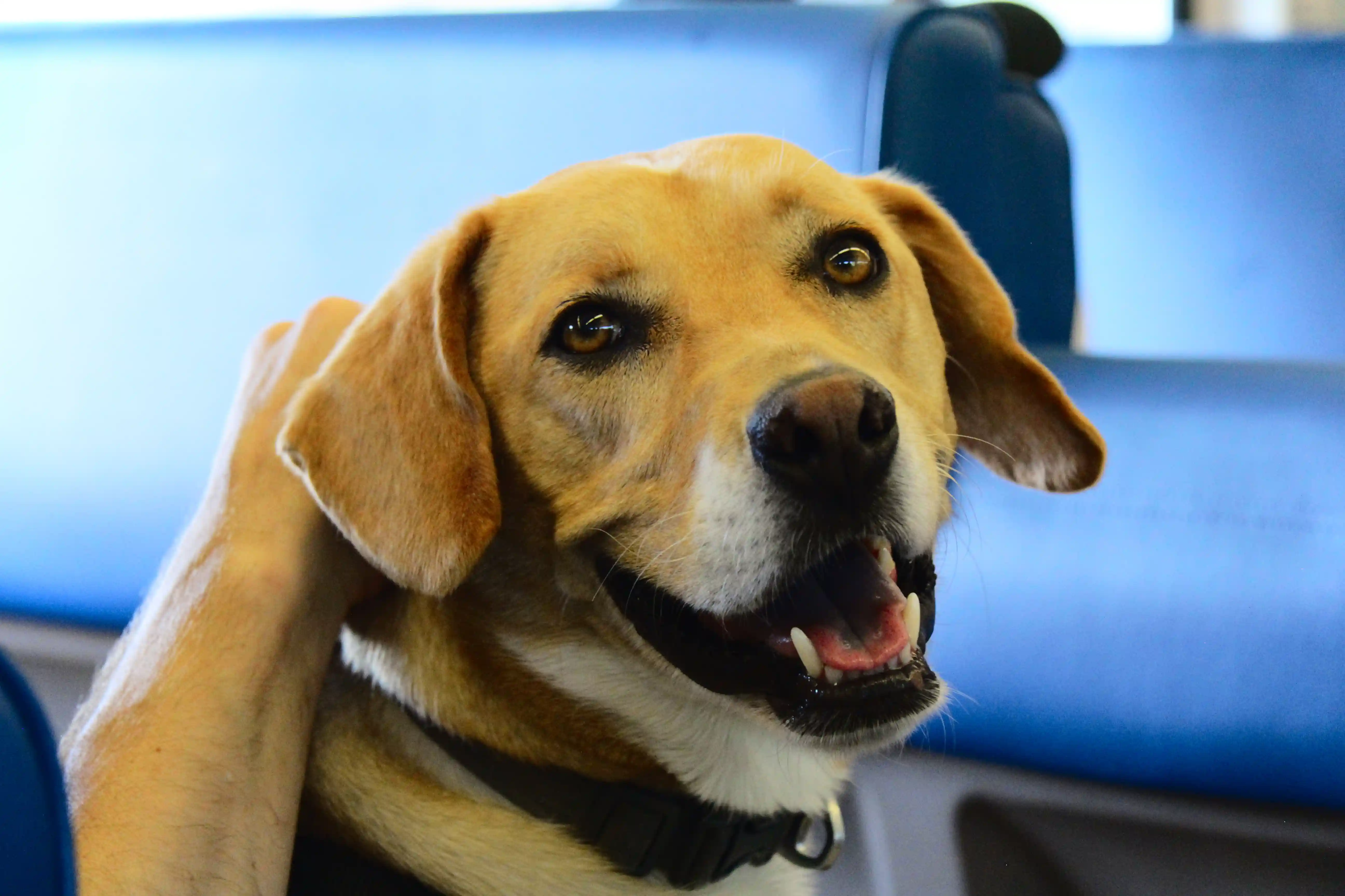 Image from New York album