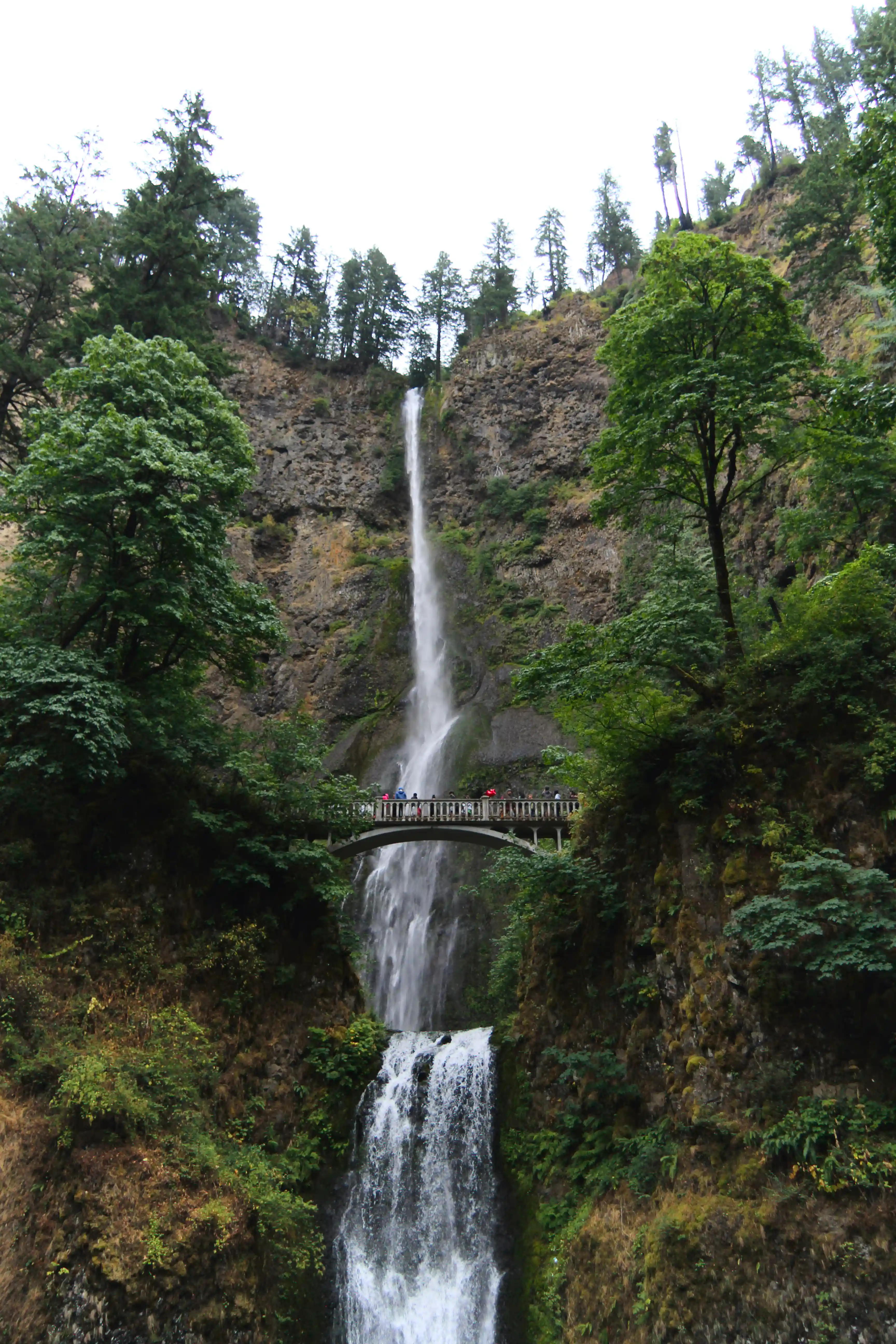 Image from Portland album