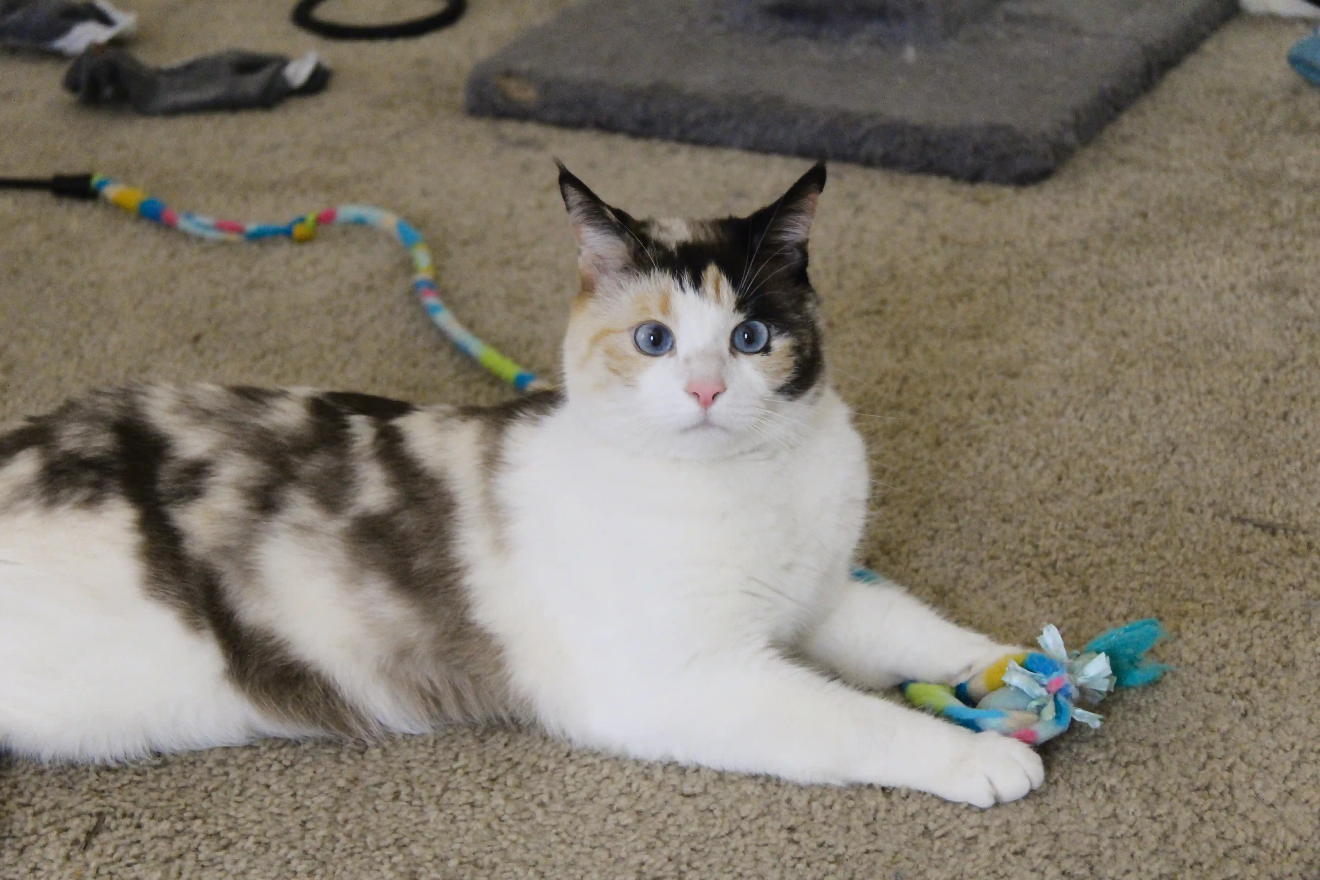 Image from Pittsburgh album