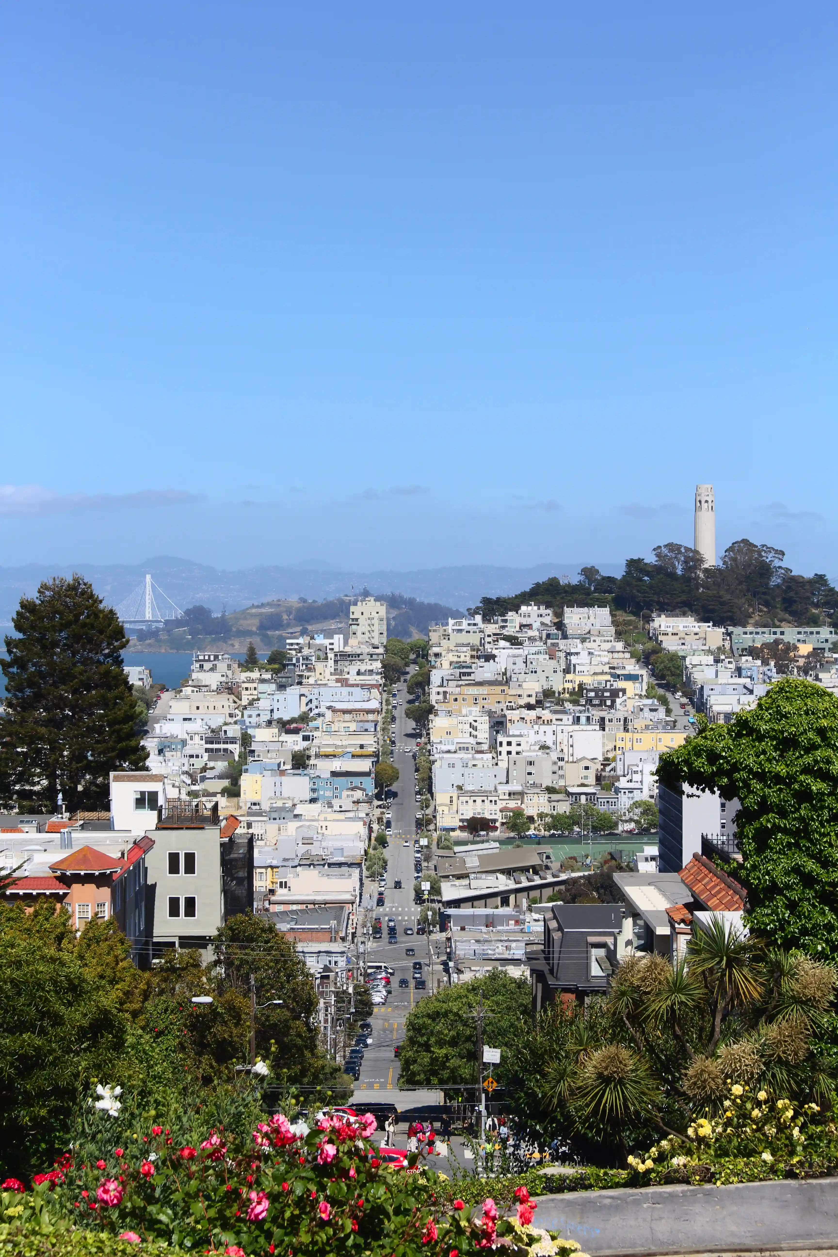 Image from SF Bay Area album