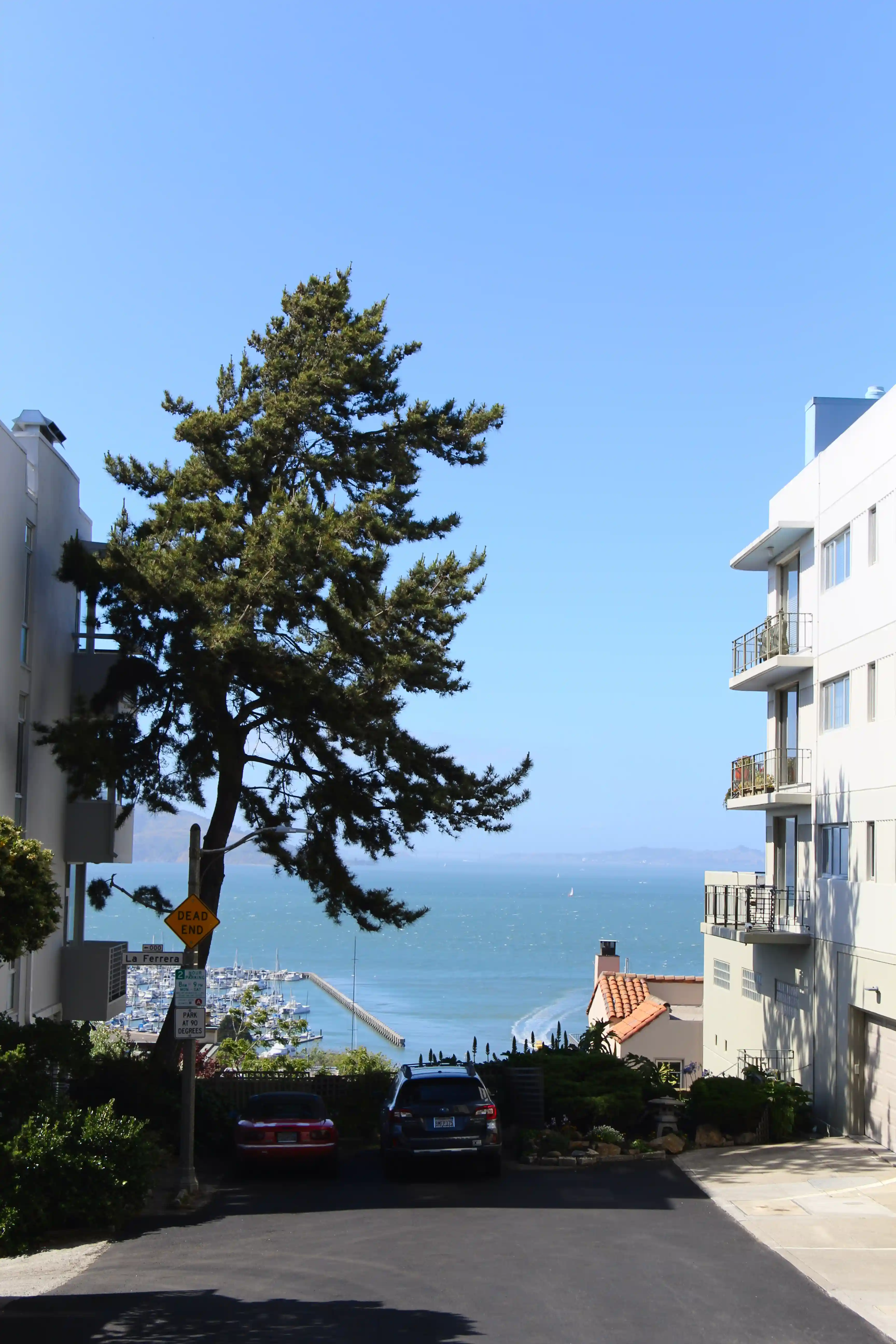 Image from SF Bay Area album