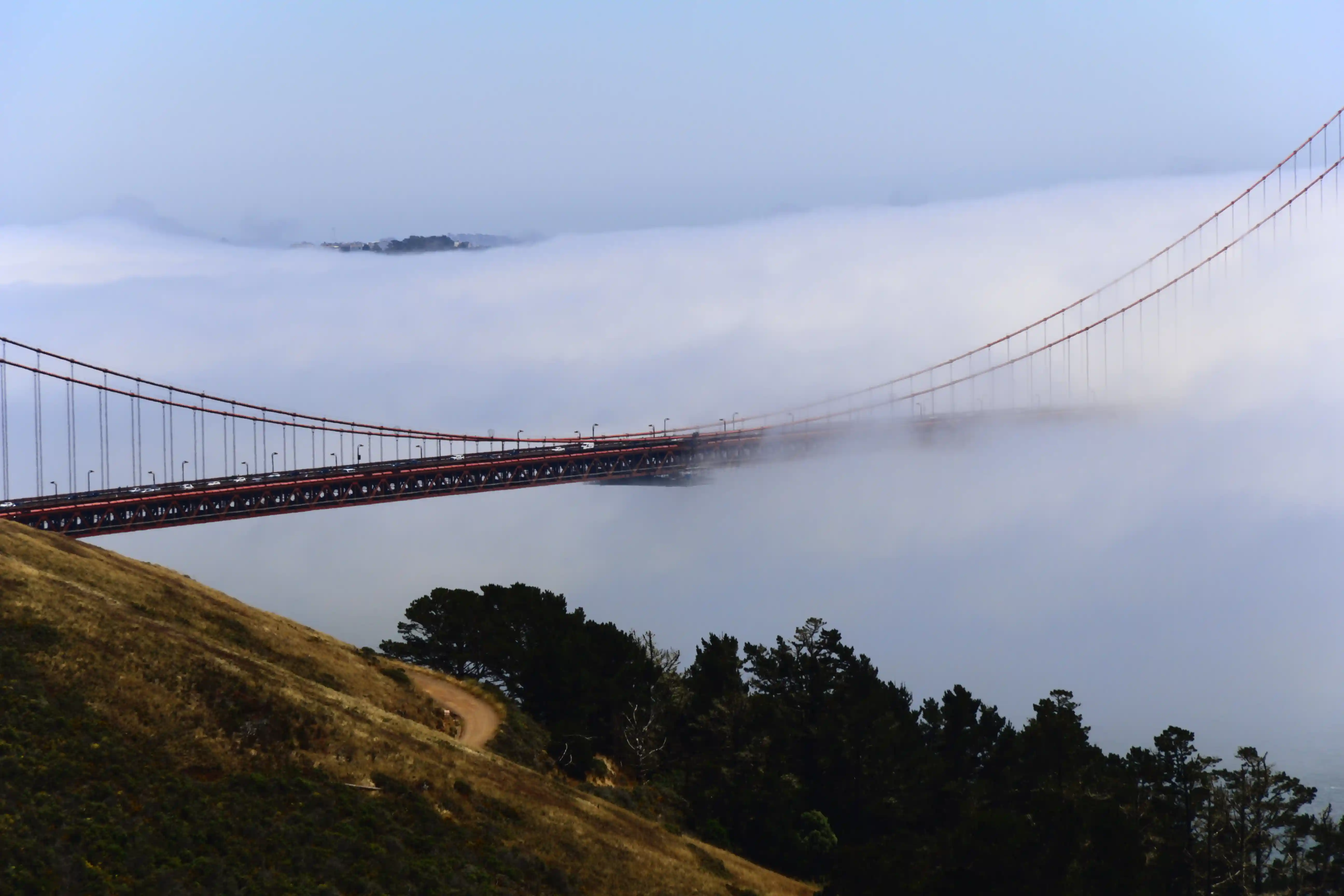 Image from SF Bay Area album