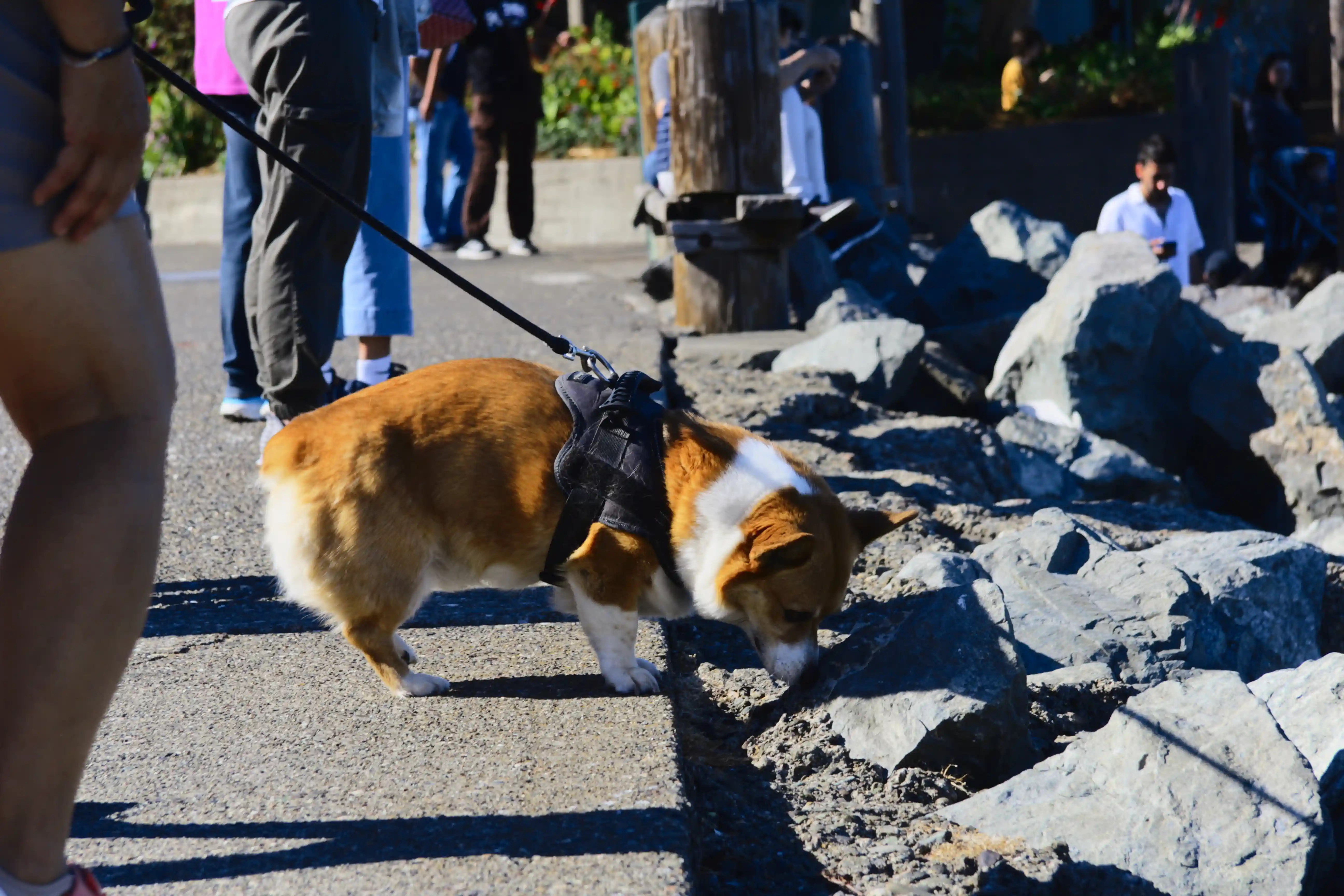 Image from SF Bay Area album