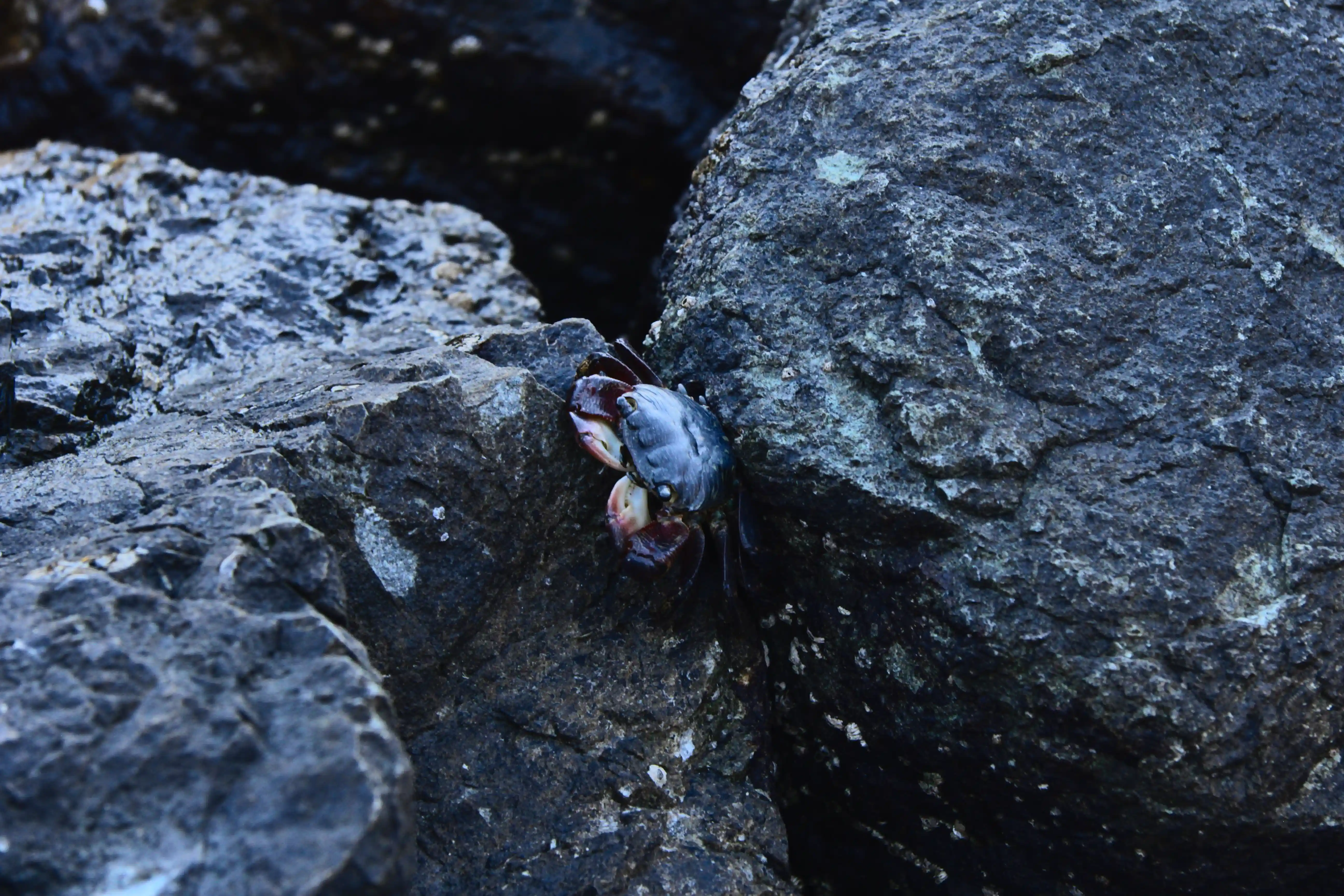 Image from SF Bay Area album