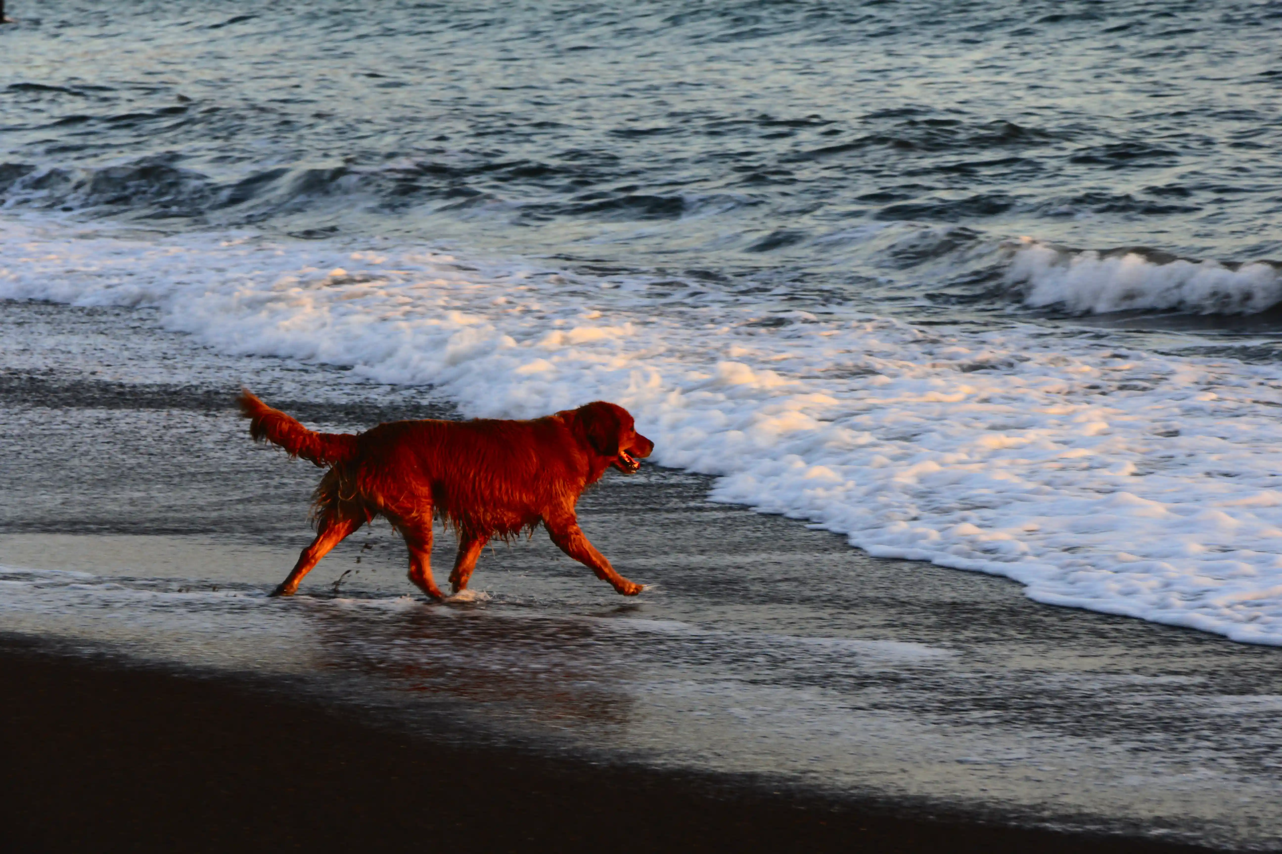 Image from SF Bay Area album