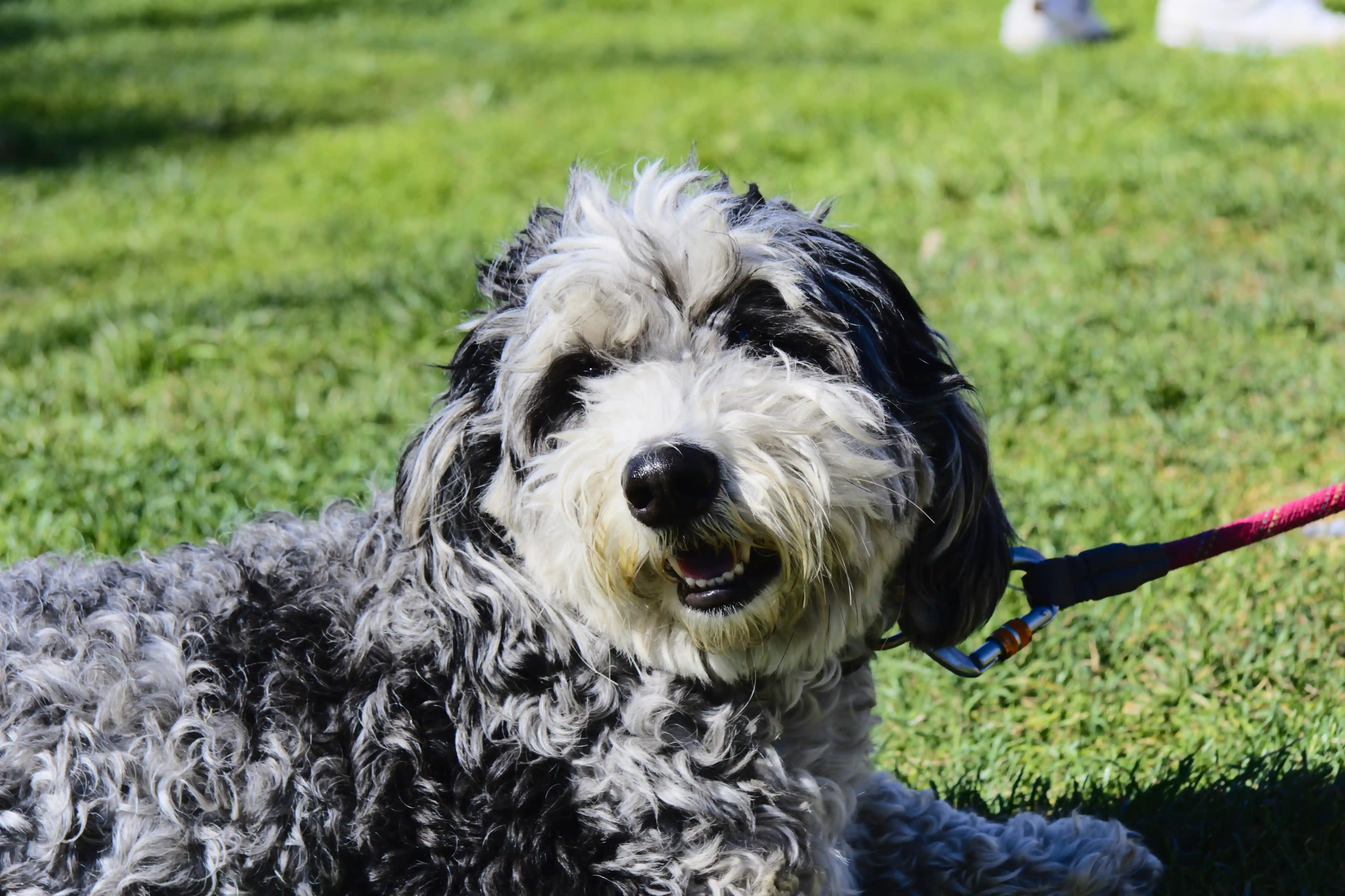 Image from SF Bay Area album