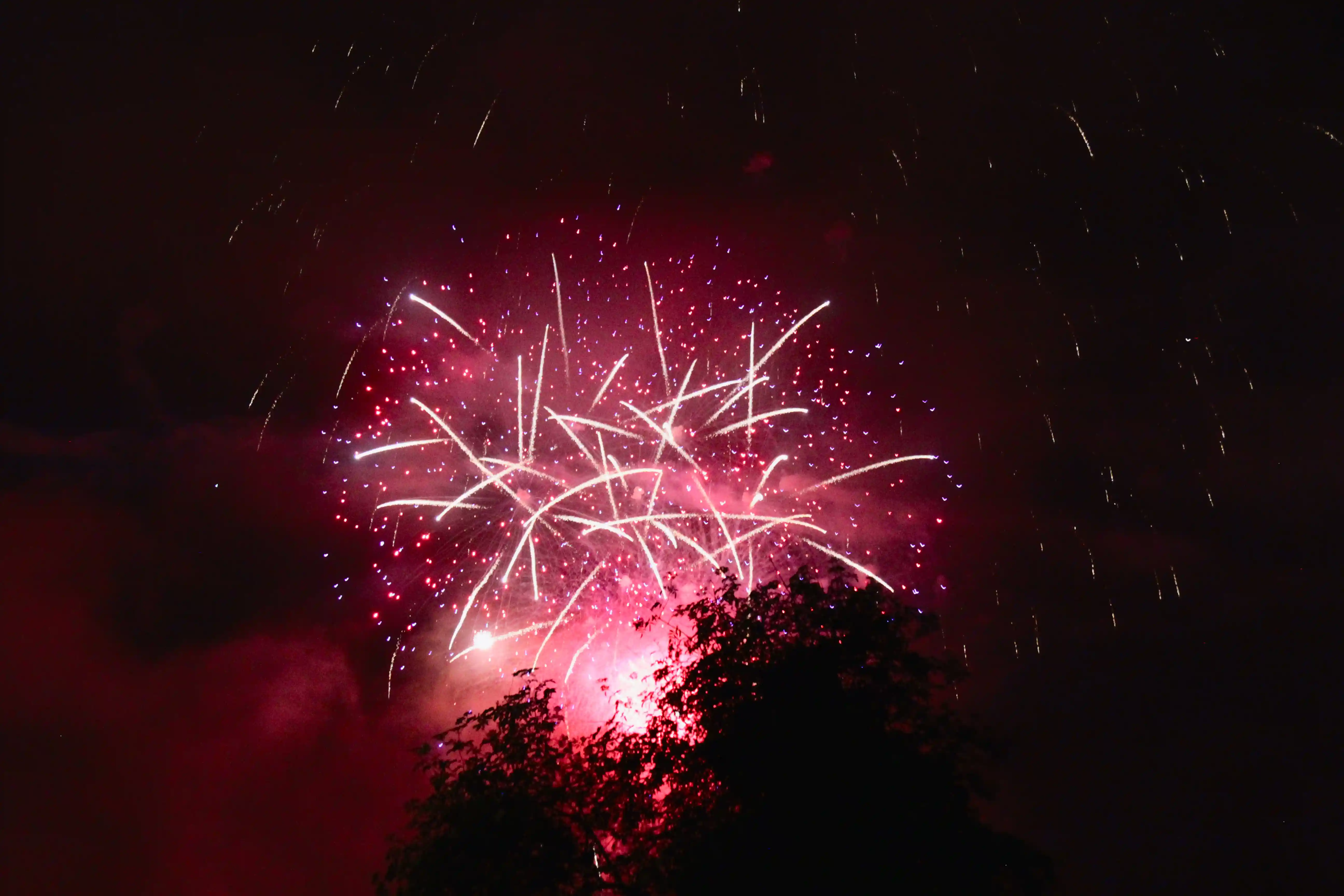 Image from SF Bay Area album