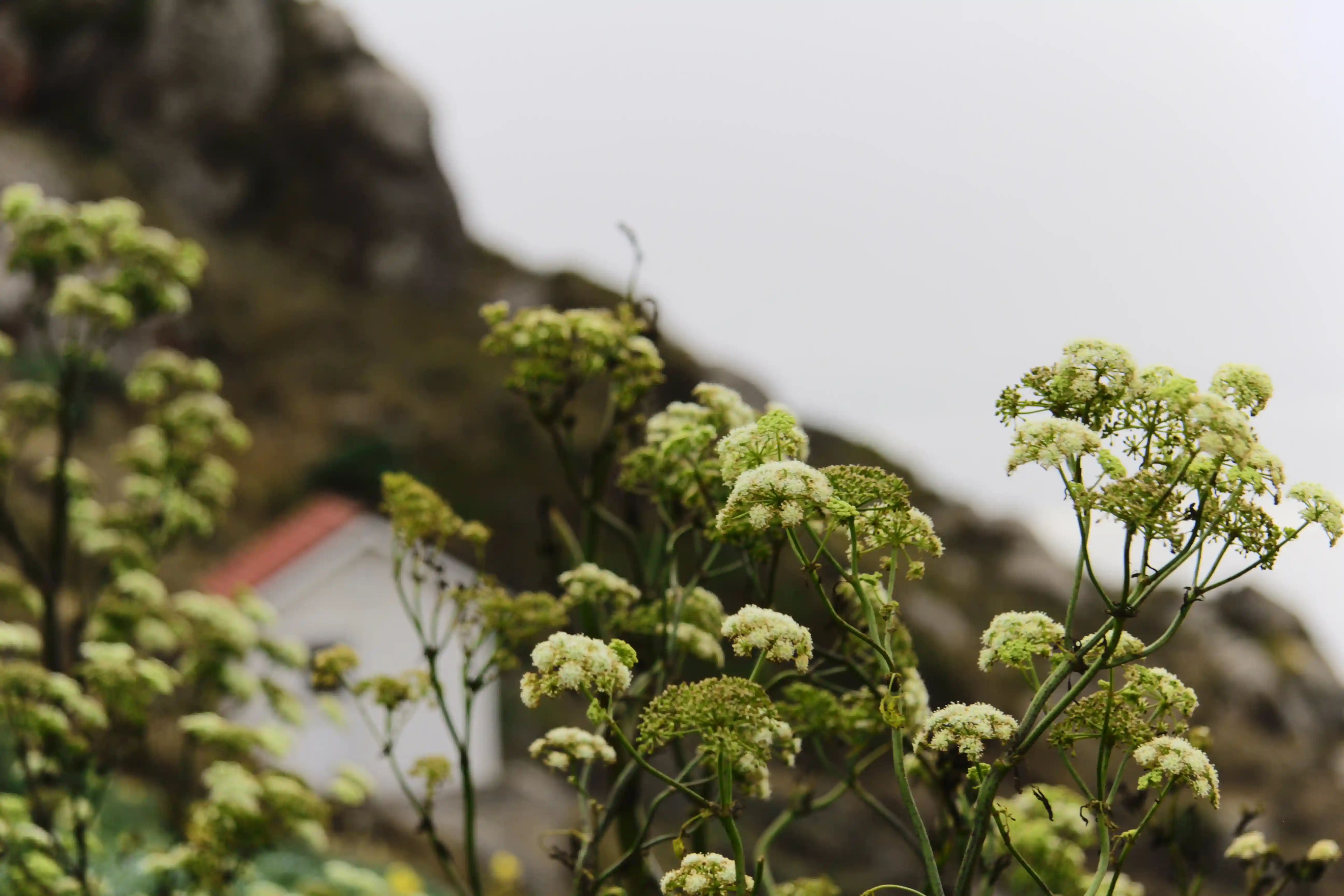 Image from SF Bay Area album