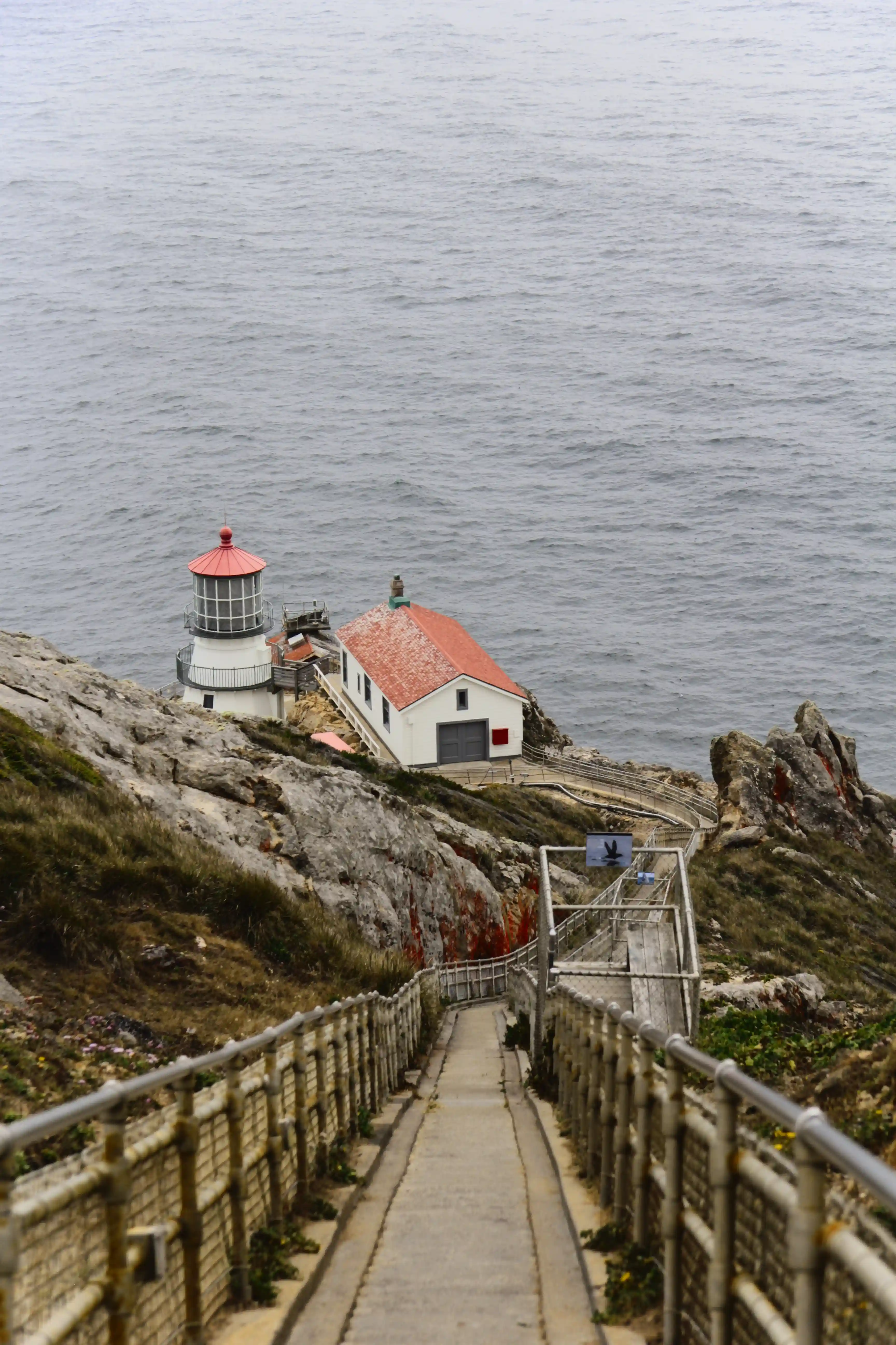 Image from SF Bay Area album