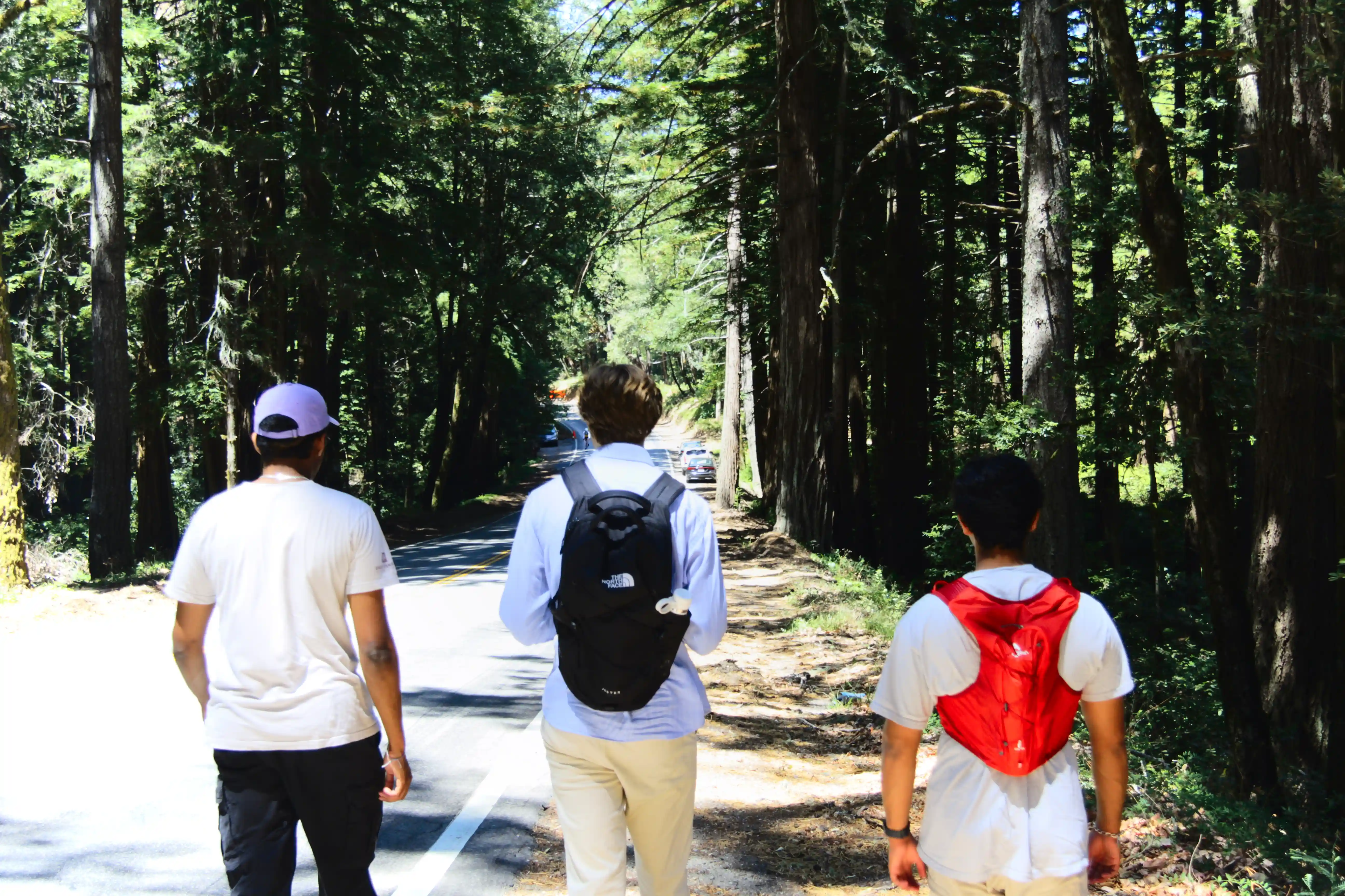 Image from SF Bay Area album