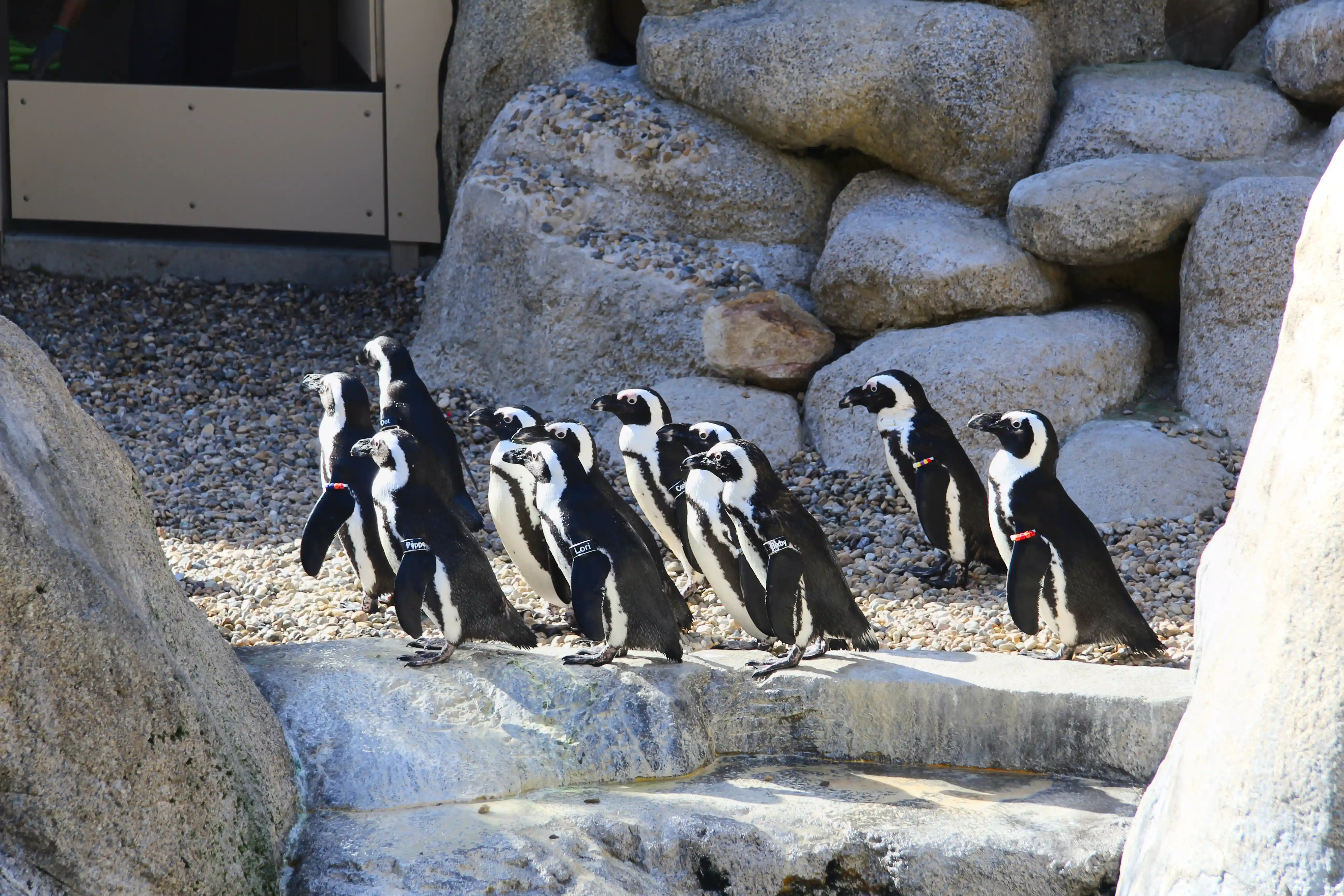 Image from San Diego album