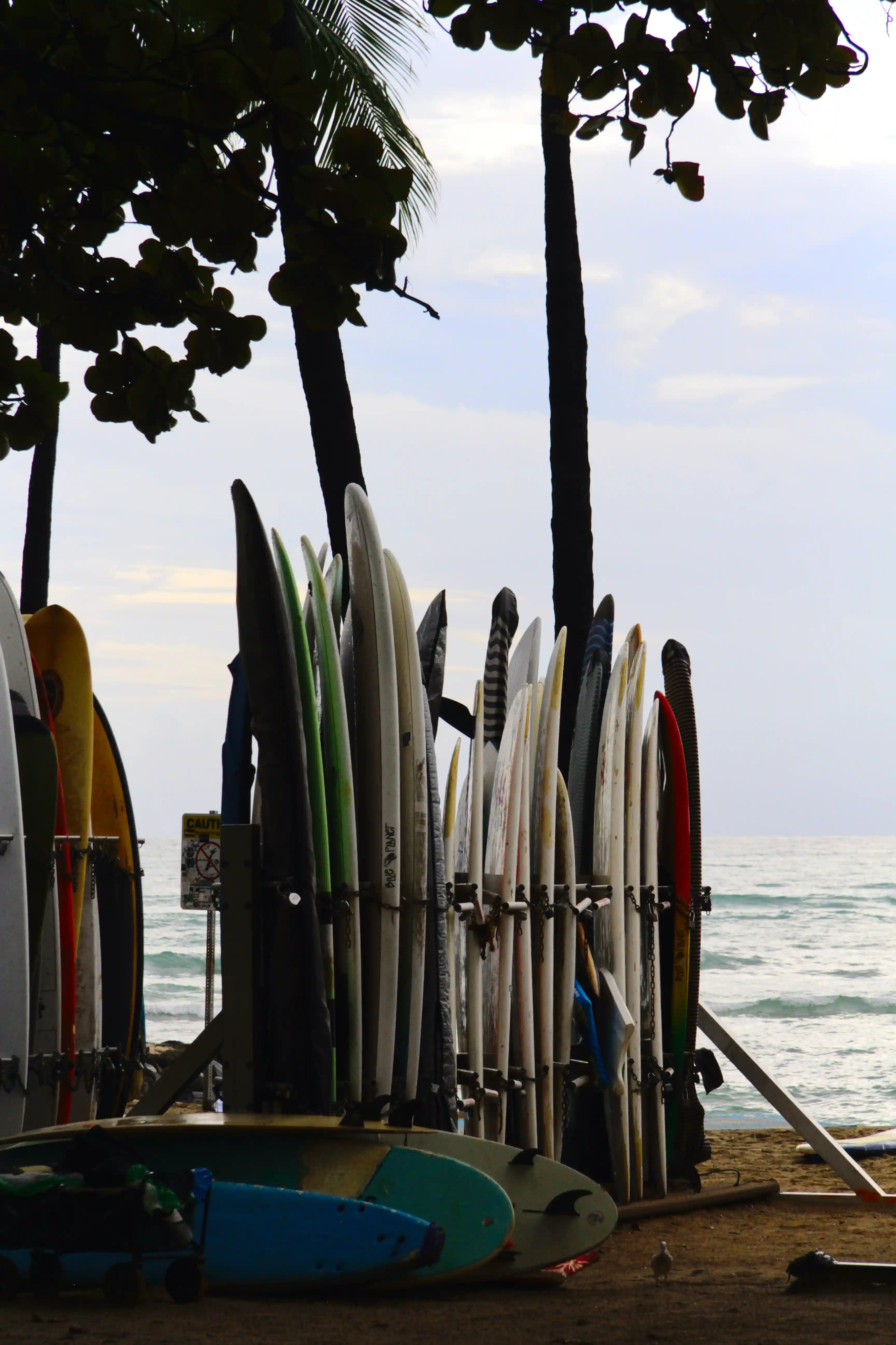 Image from O'ahu & Hawai'i album