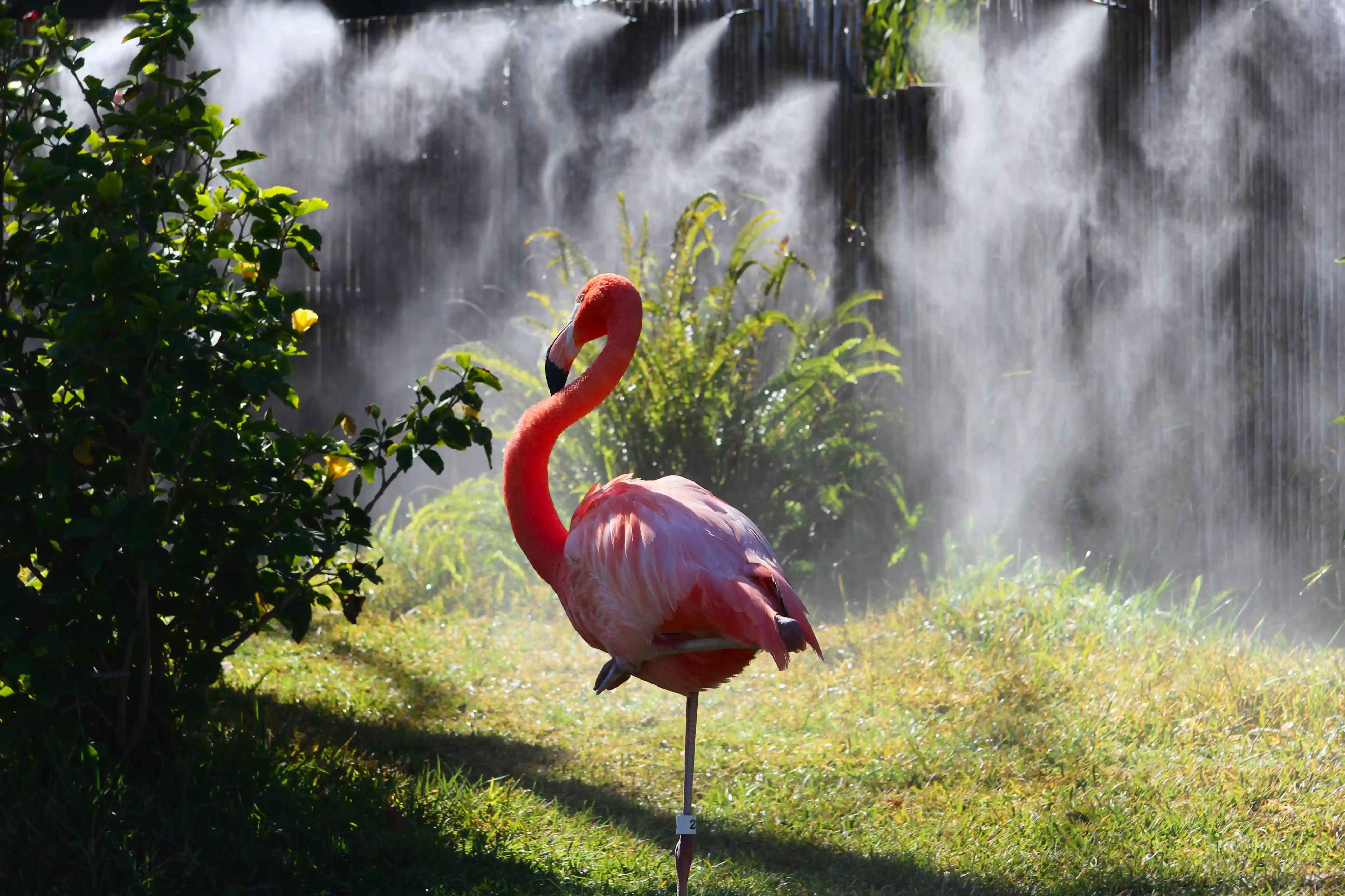 Image from San Diego album